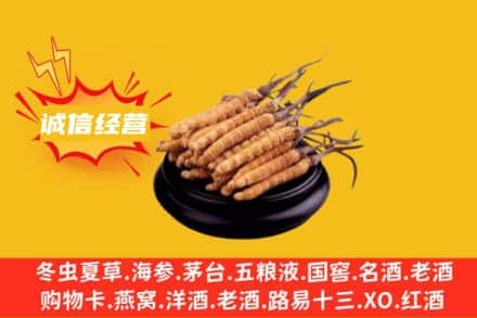 巴彦卓尔乌拉特后旗回收冬虫夏草